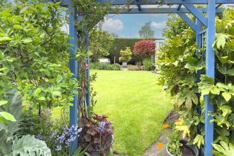 View down the garden