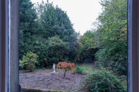 Front garden view from the lounge