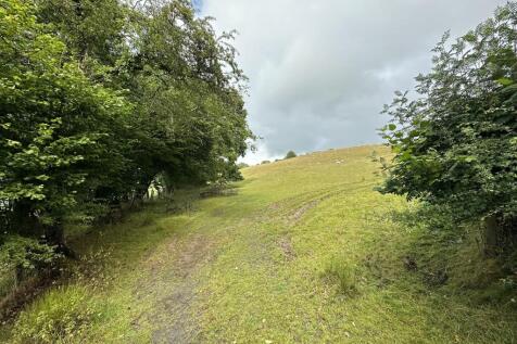 IMG_0397.jpeg