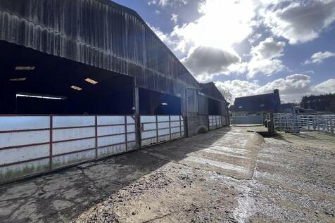 cattle barns.JPEG