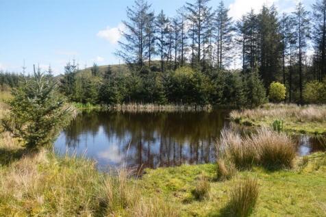 POND