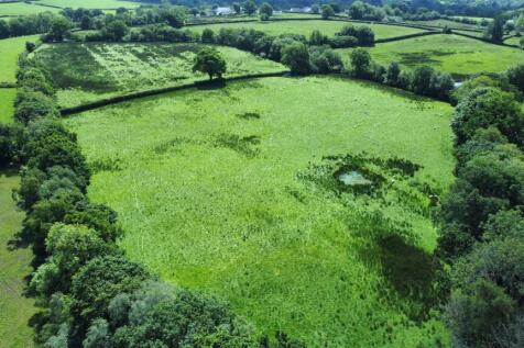 dji_fly_20240606_125028_235_1717675187294_photo_op