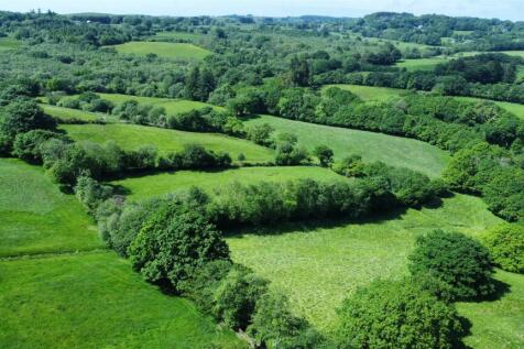 dji_fly_20240602_152020_218_1717338106697_photo_op