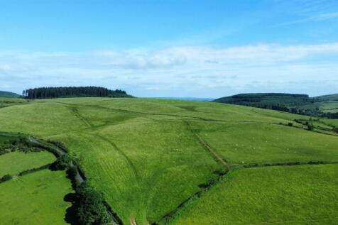 dji_fly_20240619_091144_359_1718784712550_photo_op