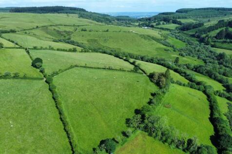THE LAND