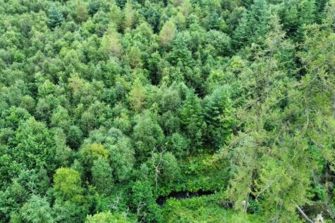 dji_fly_20240716_152738_482_1721140137510_photo_op