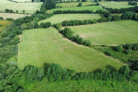 dji_fly_20240731_092222_536_1722414253594_photo_op