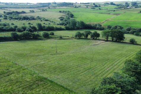 dji_fly_20240731_091916_531_1722414237924_photo_op