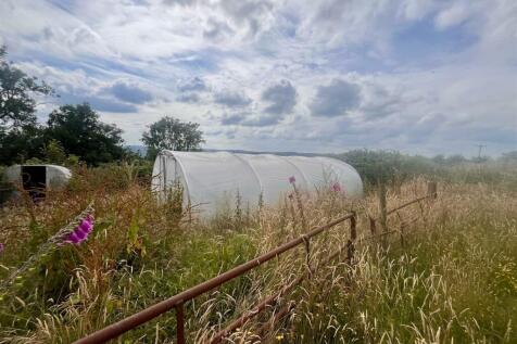 Poly Tunnel