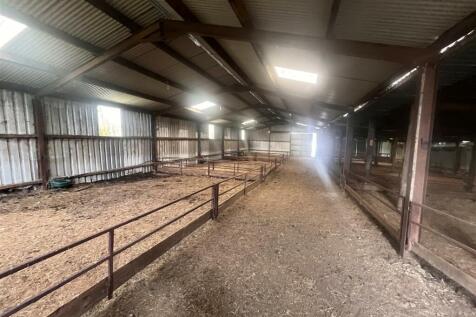 Lean to Sheep Shed