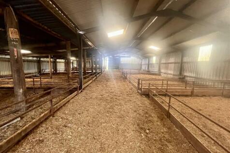 Sheep/ Lambing Shed