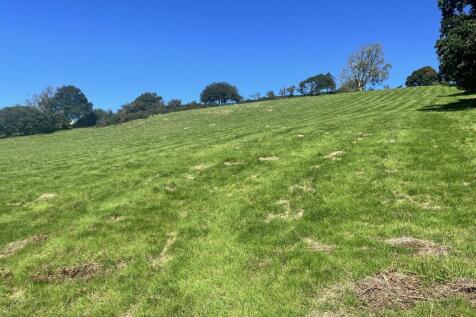 IMG_9066.jpeg
