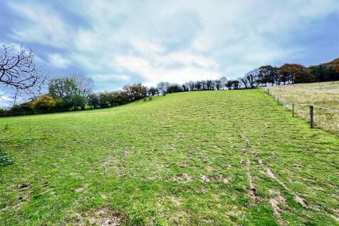 The Paddocks