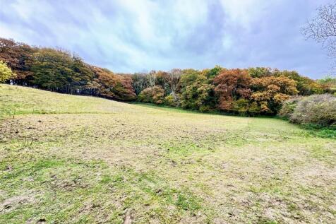 The Paddocks
