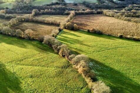 THE LAND