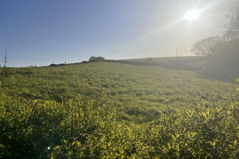 THE LAND