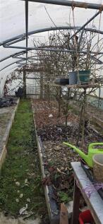 POLYTUNNEL