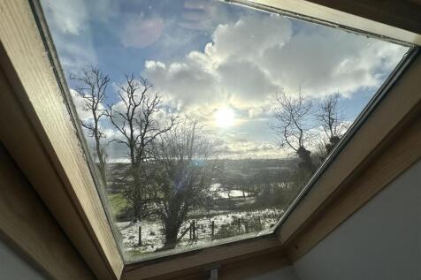 IMG_1633.jpeg