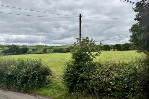 IMG_0098.jpeg