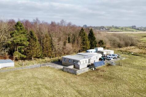 dji_fly_20250213_122628_159_1739454123165_photo_op