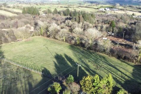dji_fly_20250222_155536_933_1740239905571_photo_op