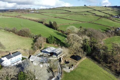 dji_fly_20250225_154912_976_1740498819712_photo_op