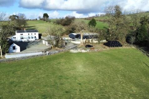 dji_fly_20250225_154456_966_1740498390337_photo_op