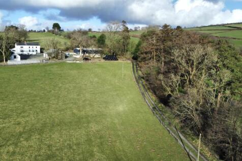 dji_fly_20250225_155050_978_1740498825872_photo_op