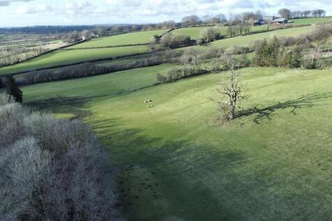 dji_fly_20250225_154510_967_1740498403606_photo_op