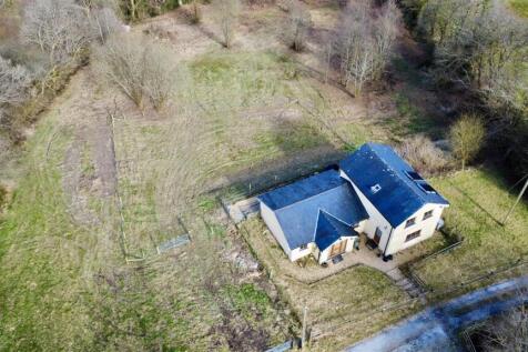 dji_fly_20250328_153806_478_1743337761361_photo_op