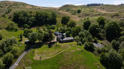 Aerial Overview.jpg