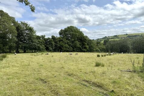 THE LAND