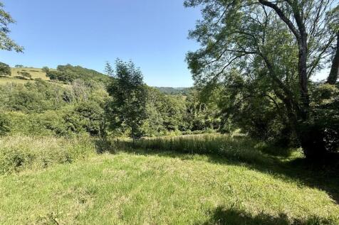 IMG_6232.jpeg