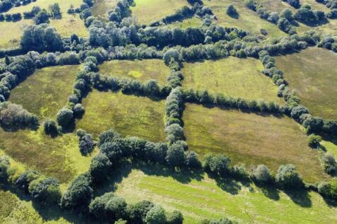 dji_fly_20250703_171942_279_1751899400308_photo_op