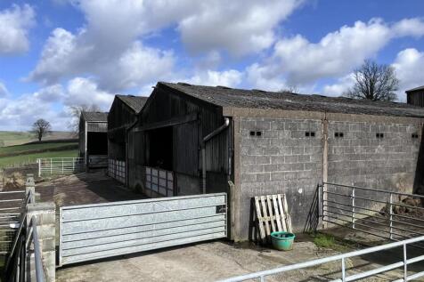 cattle barns1.JPEG