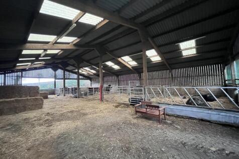 sheep shed internal.JPG