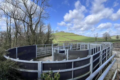 cattle handling.JPEG