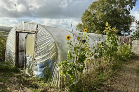 Polytunnel