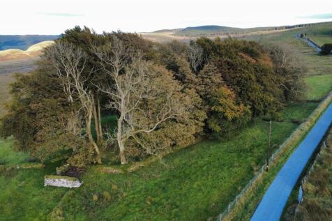 dji_fly_20250923_180236_894_1758704135848_photo_op