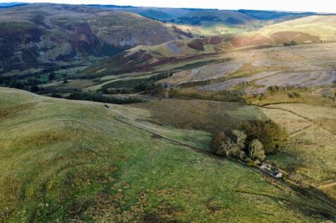 dji_fly_20250923_175516_862_1758704169746_photo_op