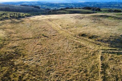 dji_fly_20250923_175456_861_1758704171337_photo_op