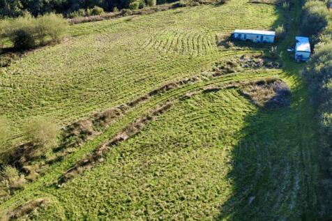 dji_fly_20250925_165956_954_1760706669667_photo_op