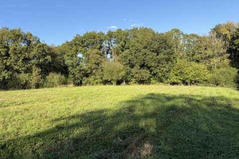 IMG_9824.jpeg