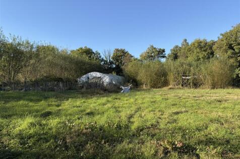IMG_9823.jpeg