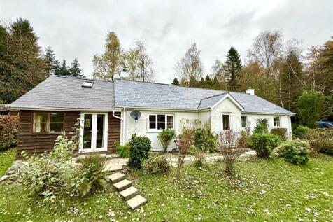 gt2z3TVejEWkARZVI0GWrQ 2.jpg