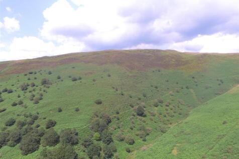 LOT 3 - APPROX 227 ACRES OF ENCLOSED UPLAND MOUNTA