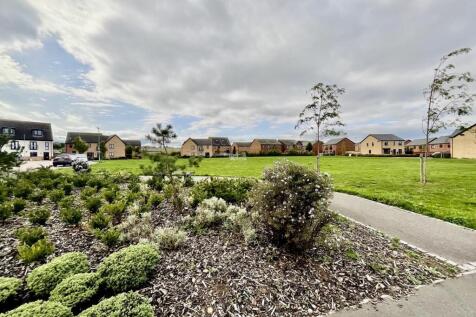 Waverley Grounds 