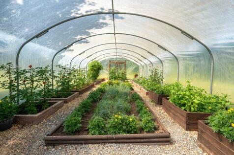Pollytunnel (50&#39; long)