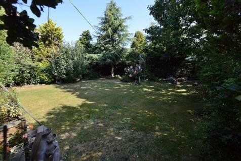 Mature Rear Gardens