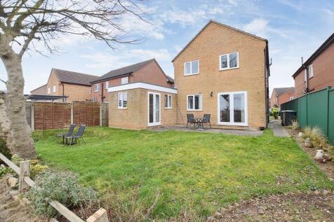 Rear of Property